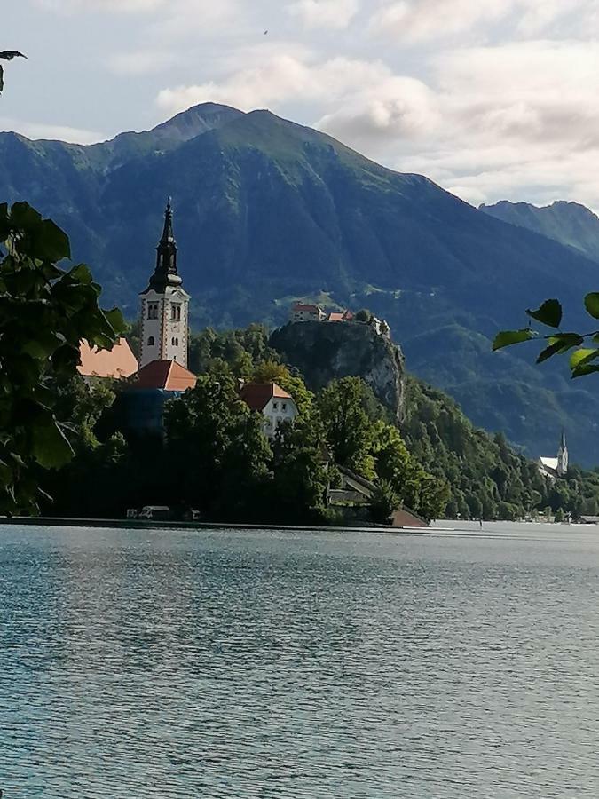 Hisa Vally Art Bled Esterno foto
